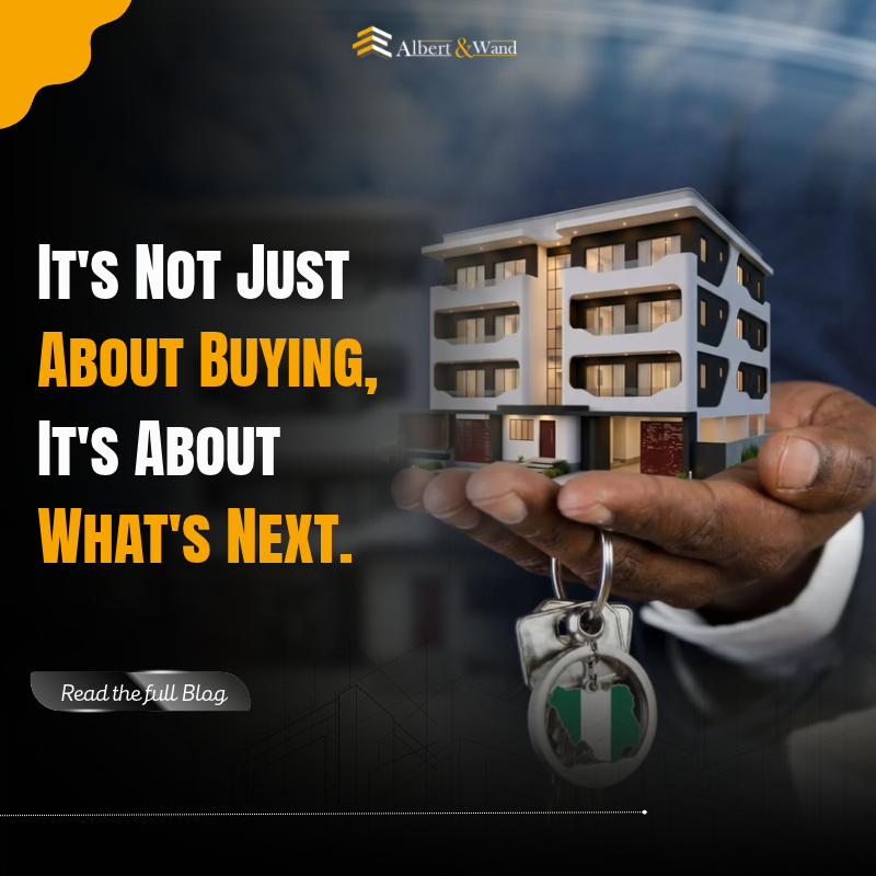 img-blog